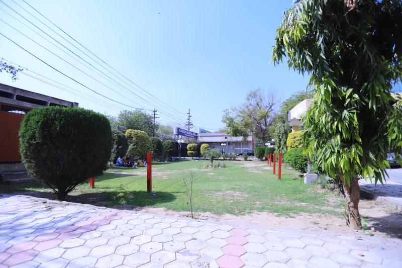 CAMPUS GROUNDS